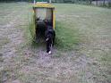 Bild 049